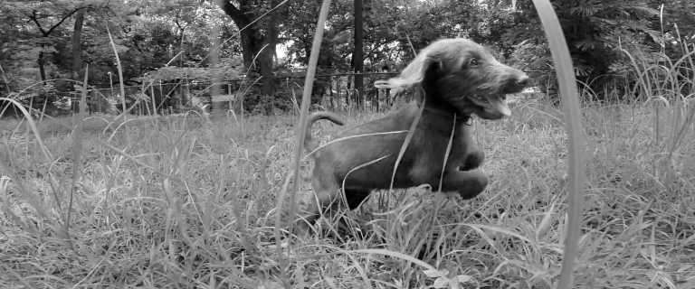 Screen Shot 2015-06-27 at 7.28.30 PM